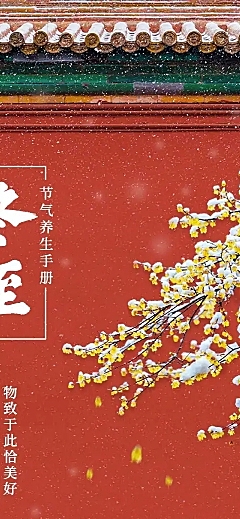 至养生手册健康保健节气长图