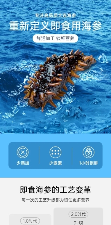 食品海鲜海参详情页