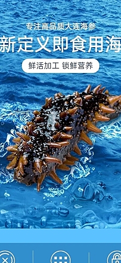 食品海鲜海参详情页