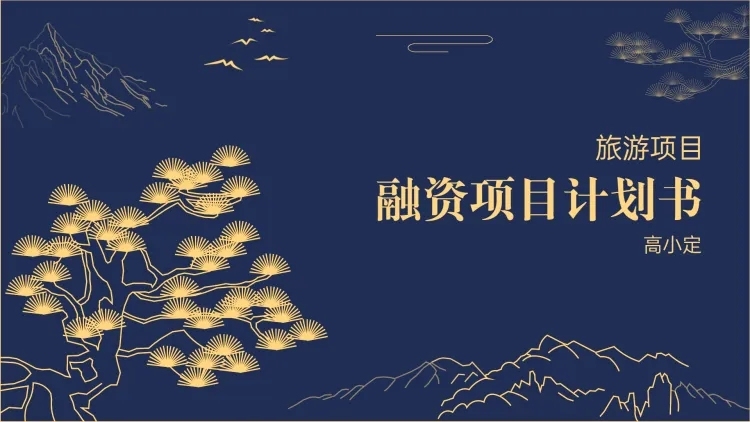 旅游项目融资计划书PPT预览效果