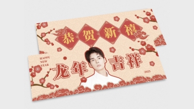 元旦节喜庆横版应援手幅明星娱乐