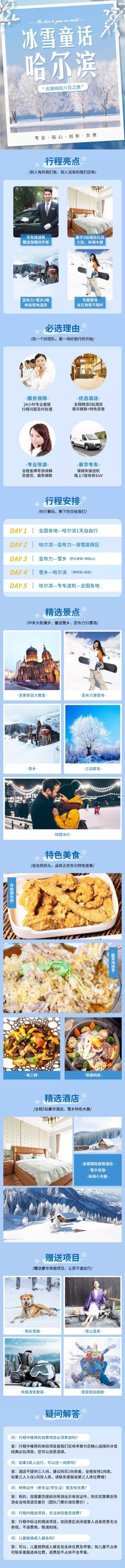 旅游出行宣传推广雪景实景详情页预览效果