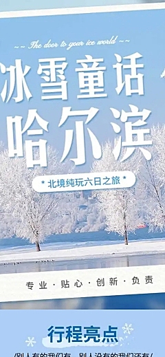 旅游出行宣传推广雪景实景详情页