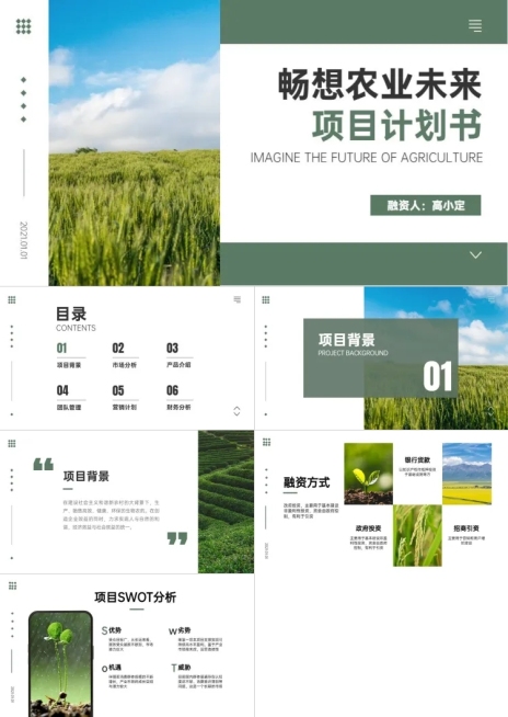 农业乡村项目计划书PPT预览效果