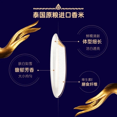 商品详情页套装【蓝金款】