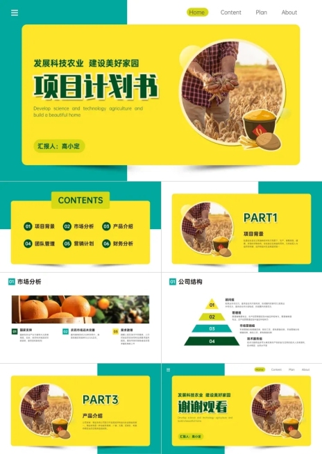 农业项目融资计划PPT预览效果