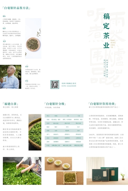 茶叶产品宣传三折页预览效果