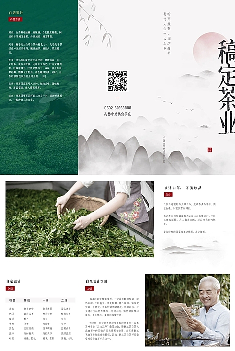 茶叶产品宣传三折页
