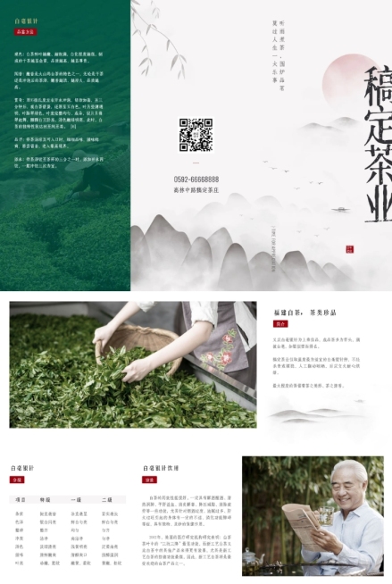 茶叶产品宣传三折页预览效果