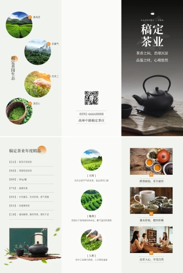 茶叶产品宣传三折页
