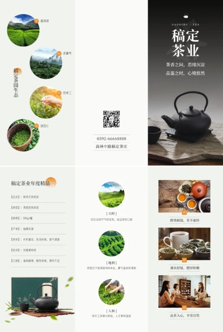 茶叶产品宣传三折页预览效果