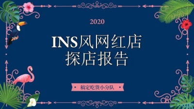 清新时尚INS风PPT封面