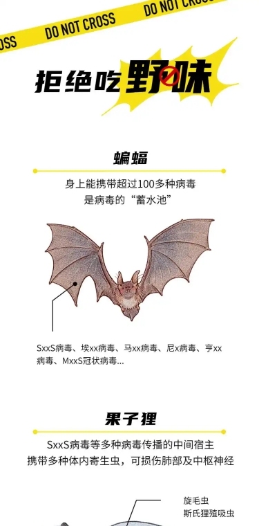 医疗健康科普生物动物科普条漫文章长图
