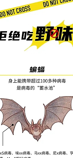 医疗健康科普生物动物科普条漫文章长图