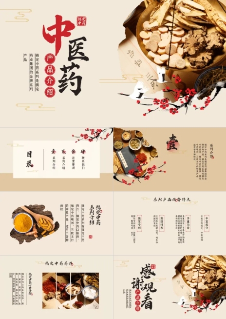 中医药医疗保健产品介绍PPT预览效果