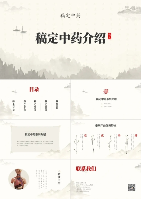 中医药医疗保健产品介绍PPT预览效果