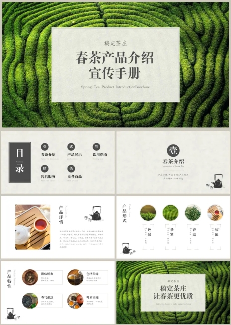 春茶产品介绍宣传手册PPT预览效果