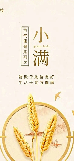 H5长页小满节气养生健康保健手册