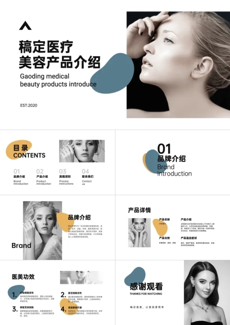 医美产品宣传介绍PPT预览效果