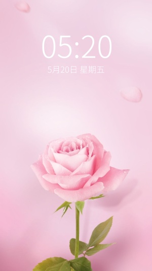 玫瑰花温馨优雅少女心手机壁纸