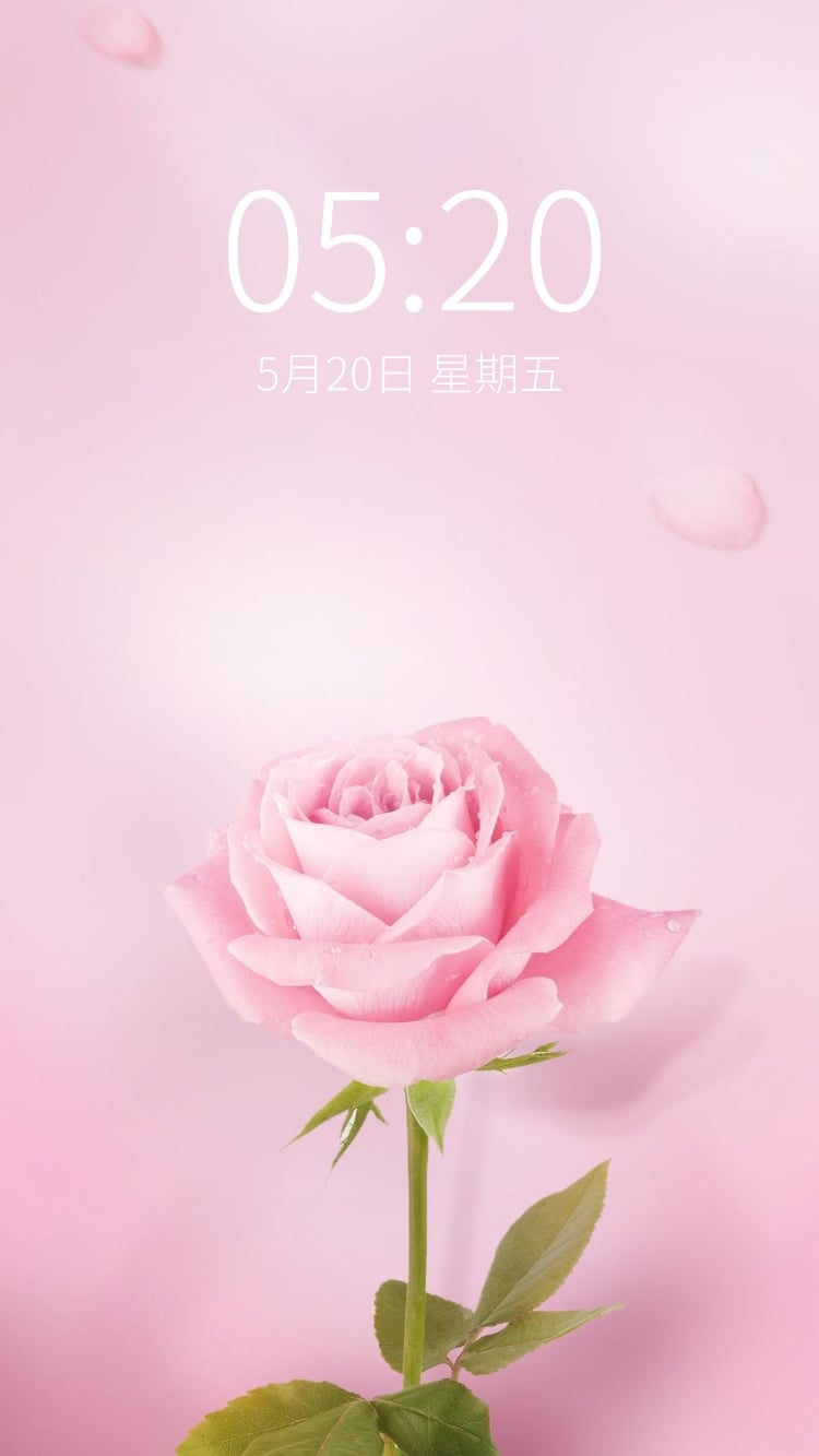 玫瑰花温馨优雅少女心手机壁纸预览效果