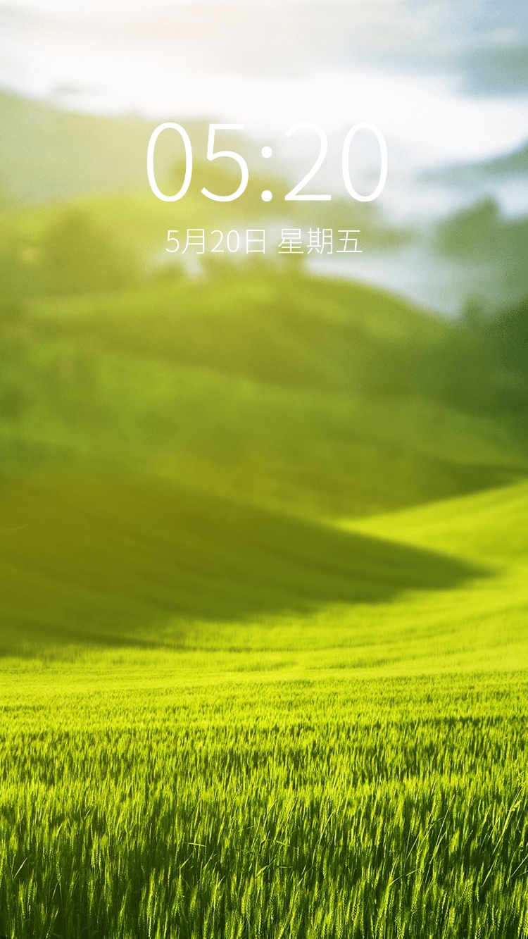 点击进入编辑 夏日清新草地实景手机壁纸预览效果