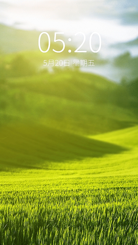 夏日清新草地实景手机壁纸
