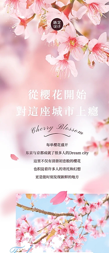 旅游出行春天樱花节新品上市浪漫活动清新实景文章长图