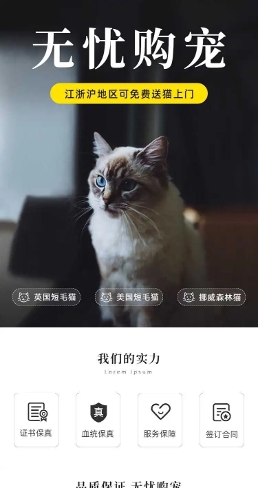 H5长页简约高级宠物售卖店铺首页