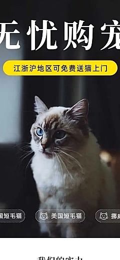 H5长页简约高级宠物售卖店铺首页