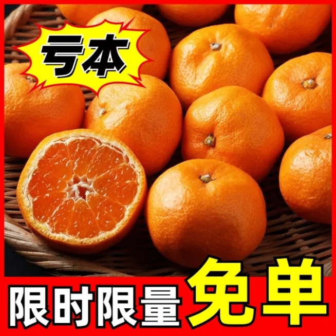 拼多多食品水果橙子直通车主图预览效果