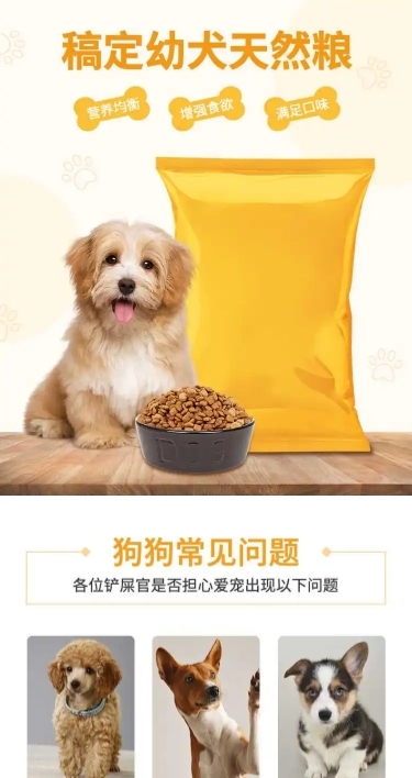 简约宠物狗粮详情页