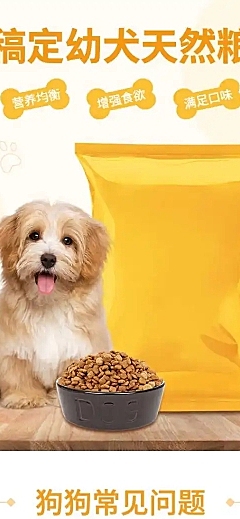 简约宠物狗粮详情页