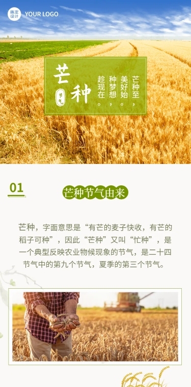 芒种节气百科习俗科普文章长图