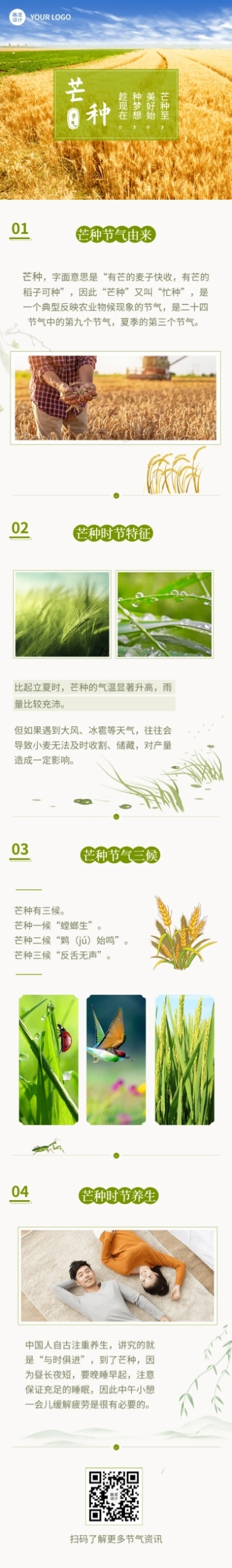 芒种节气百科习俗科普文章长图预览效果