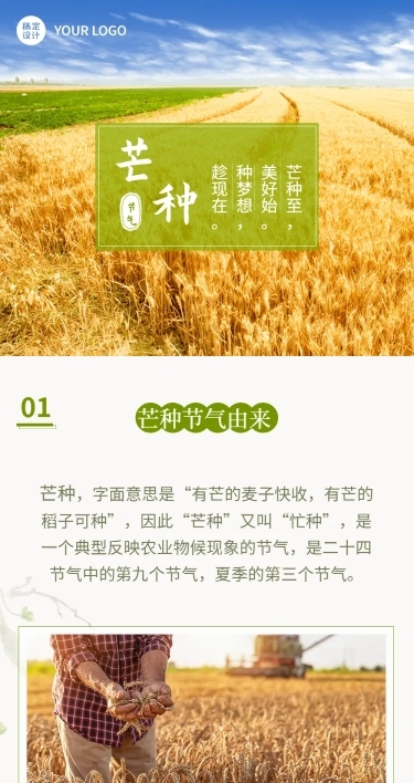 芒种节气百科习俗科普文章长图