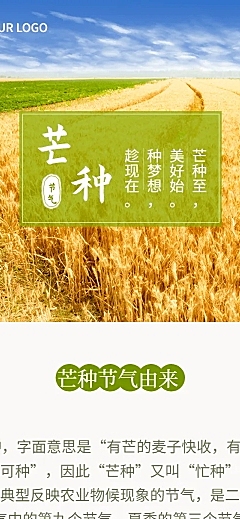 芒种节气百科习俗科普文章长图