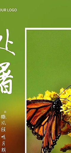 处暑节气实景长图海报