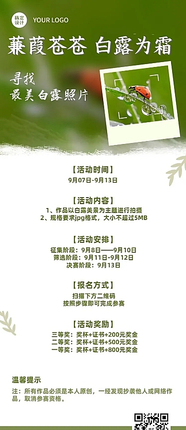 白露节气晒照活动长图海报