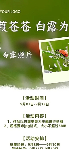 白露节气晒照活动长图海报
