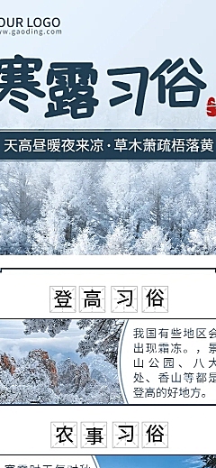 寒露节气习俗科普长图海报