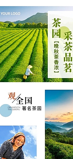 景区景点宣传活动实景长图海报