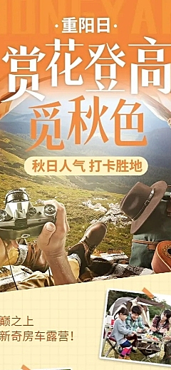 旅游重阳露营登高活动营销长图海报