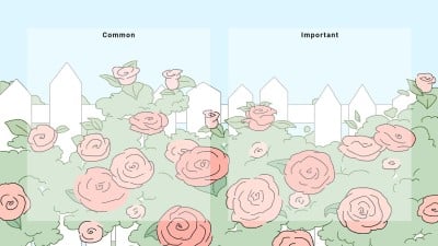 唯美插画风景分区电脑桌面壁纸