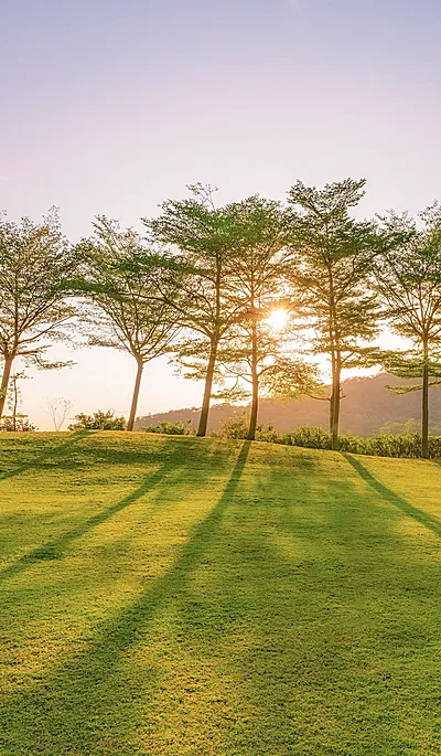 唯美风景微信农场状态背景图