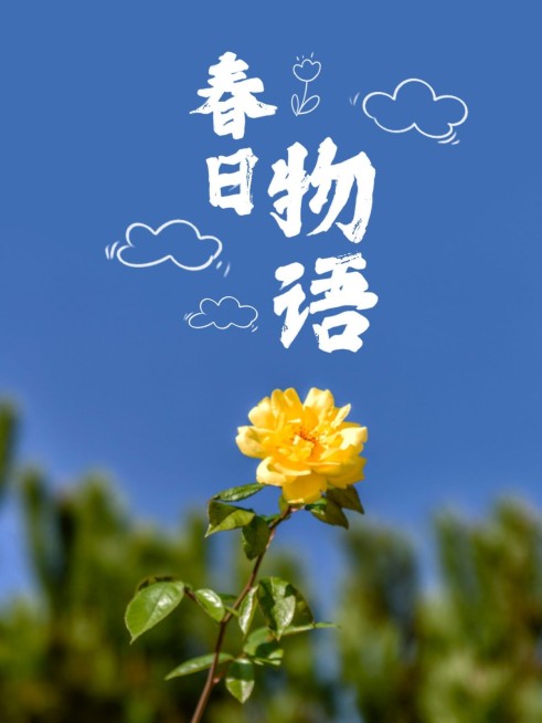 天空/云朵风景照可爱风plog模板预览效果