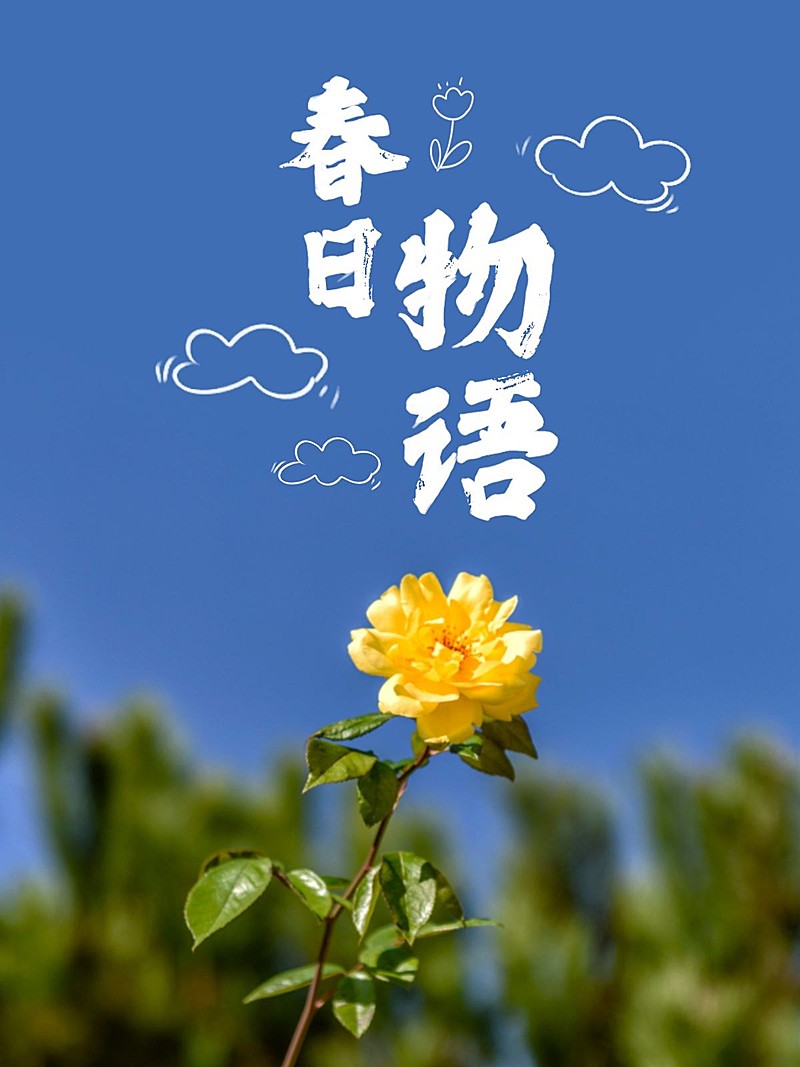 天空/云朵风景照可爱风plog模板