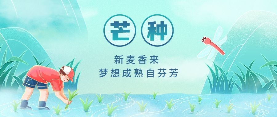 芒种节气祝福手机公众号首图
