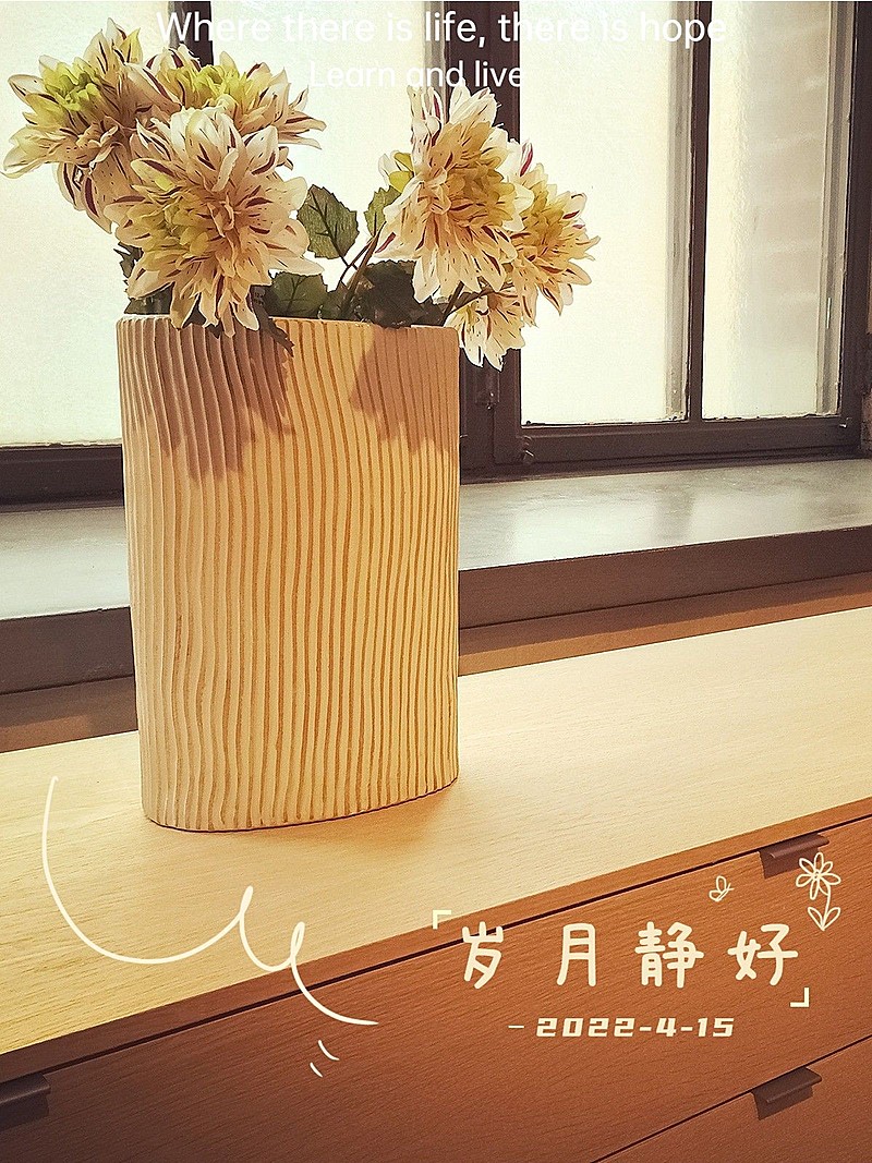 居家晒物晒照分享简约风plog模板