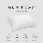 模板缩略图